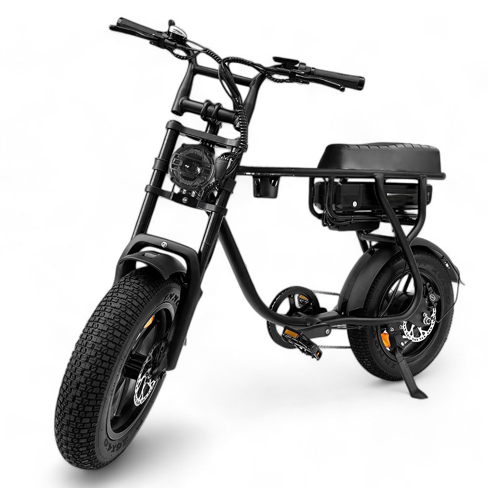 EB16 Mini Fatbike