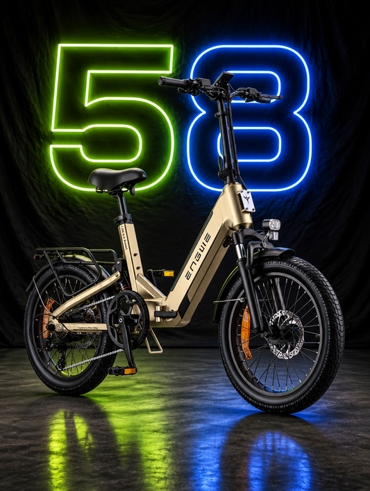 ENGWE L20 3.0 Pro