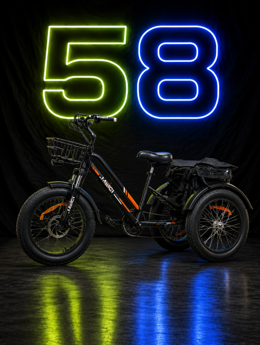 3-Wiel Fatbike TR06 Elektrische Fiets