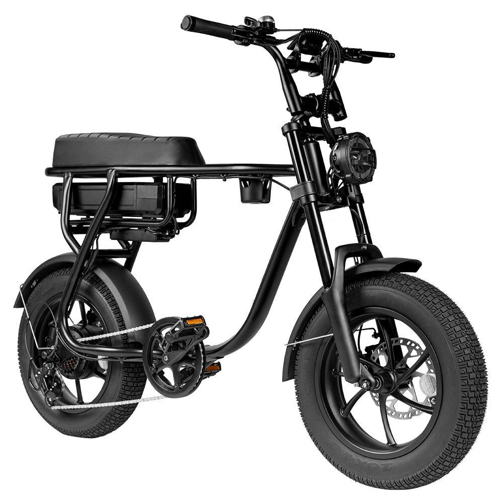 EB16 Mini Fatbike