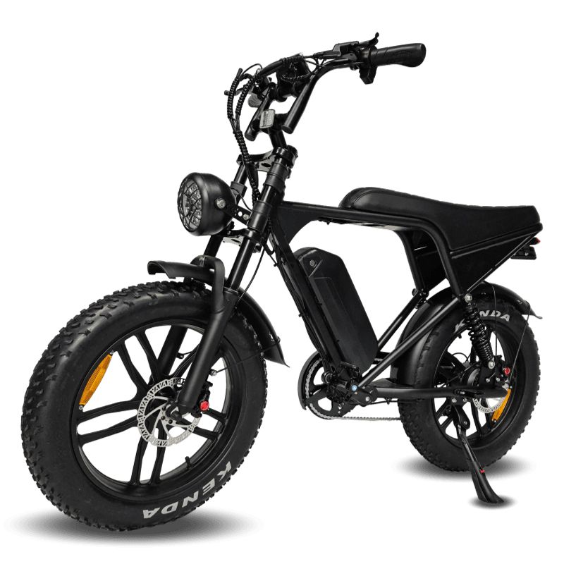 C80 Pro Fatbike