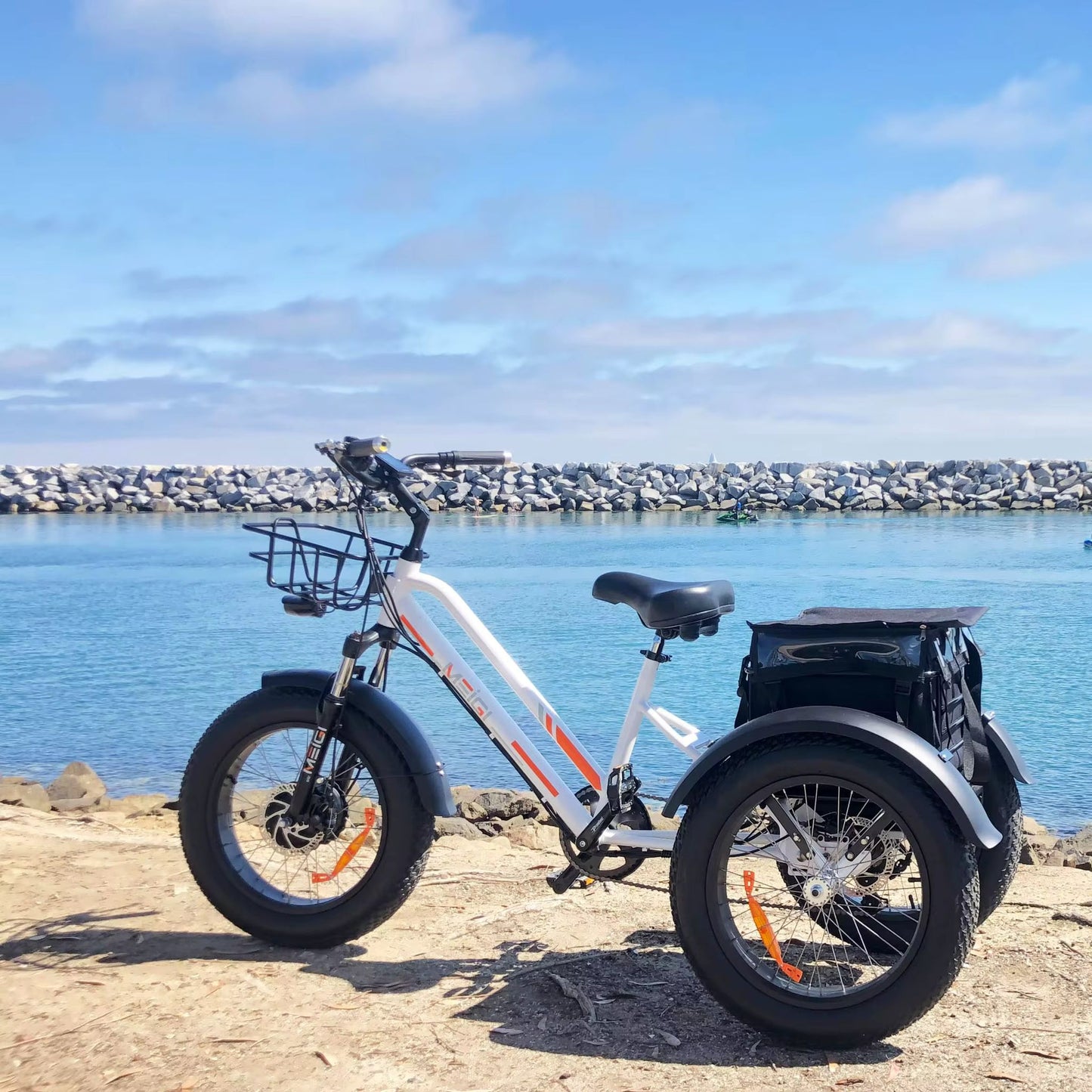 3-Wiel Fatbike TR06 Elektrische Fiets