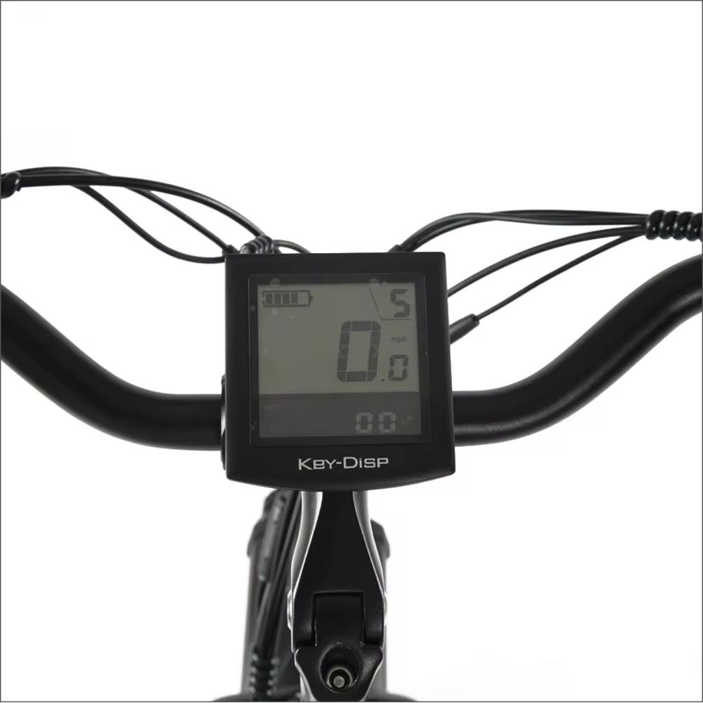 3-Wiel Fatbike TR06 Elektrische Fiets
