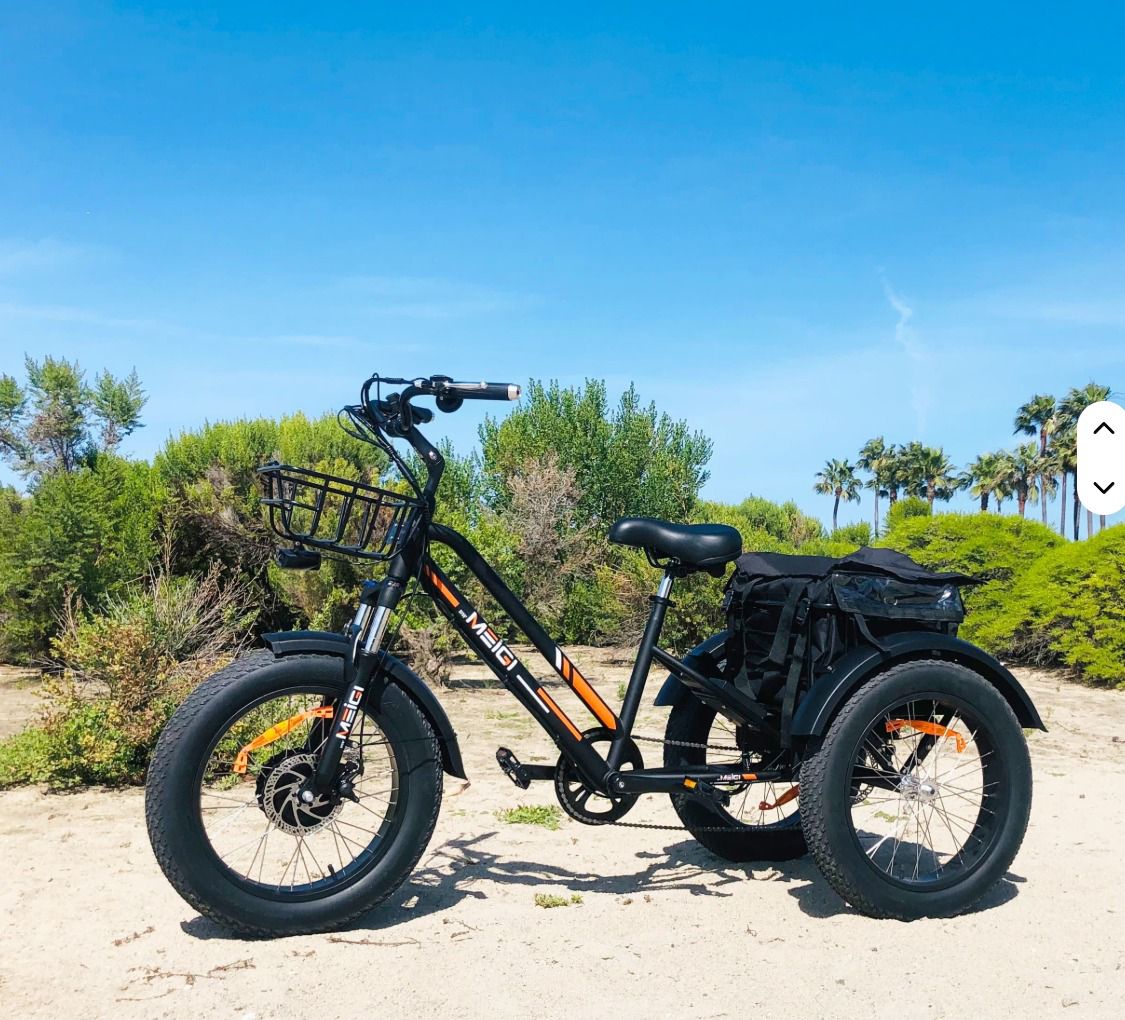 3-Wiel Fatbike TR06 Elektrische Fiets